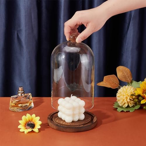 BENECREAT 7x5 Inch Glass Dome Cloche with Wooden Base