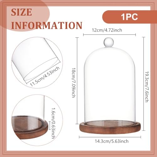 BENECREAT 7x5 Inch Glass Dome Cloche with Wooden Base