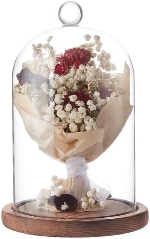 BENECREAT 7x5 Inch Glass Dome Cloche with Wooden Base
