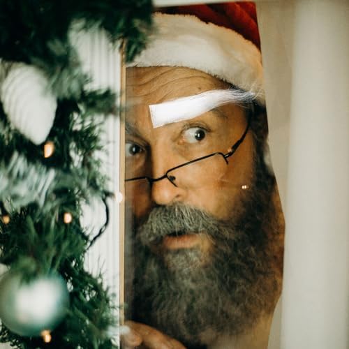 TUESMEILL 2pairs Self Adhesive Santa Eyebrows