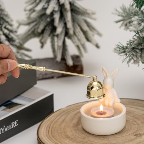 Stainless Steel Golden Candle Snuffer with Long Handle Gift Box