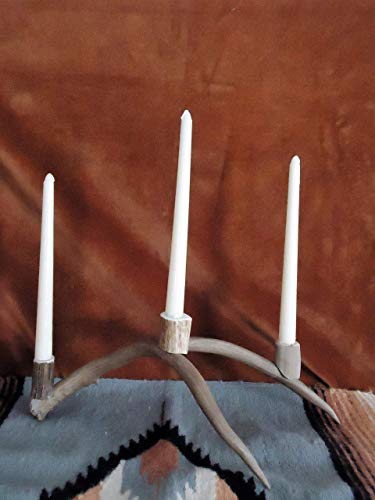 Handmade Real Shed Deer Antler 3 Candle Holders