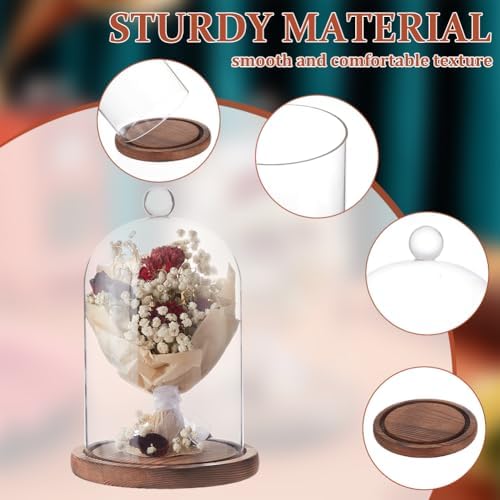 BENECREAT 7x5 Inch Glass Dome Cloche with Wooden Base
