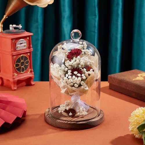 BENECREAT 7x5 Inch Glass Dome Cloche with Wooden Base