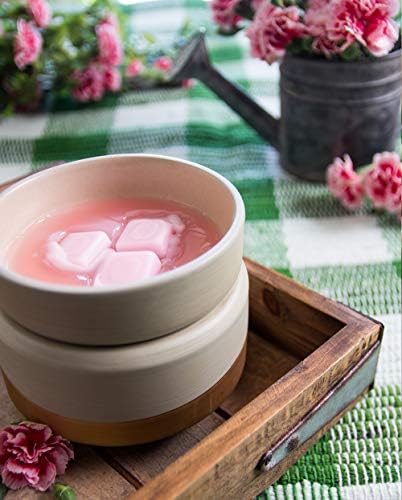 Shorties Candle Company Pure Carnation Wax Melts - 3 Oz Bar 1