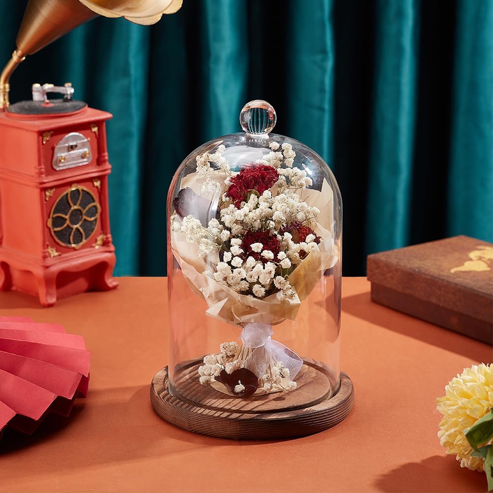BENECREAT 7x5 Inch Glass Dome Cloche with Wooden Base