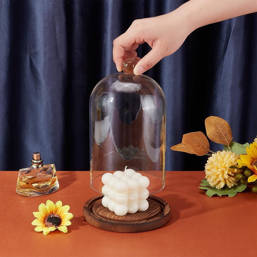 BENECREAT 7x5 Inch Glass Dome Cloche with Wooden Base